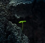 Nauman a I Qp H fha RY unsplash